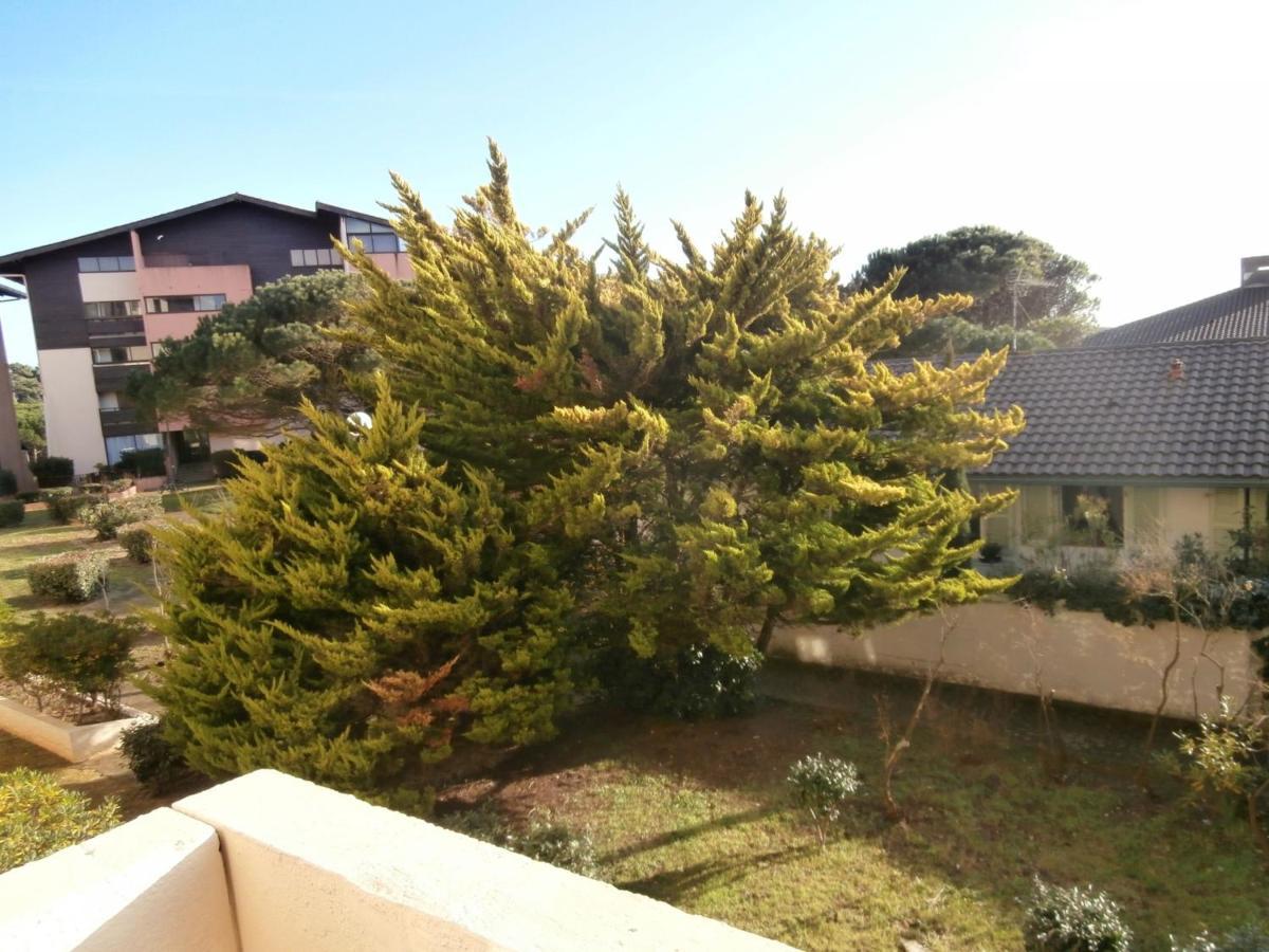 Appartement Renove Avec Balcon, Proche Plage Et Marche - 4 Pers, Calme & Confort A Seignosse - Fr-1-239-460 מראה חיצוני תמונה
